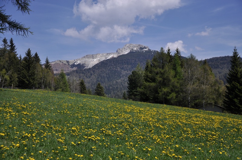 DSC_5111.JPG DSC_5111.JPG