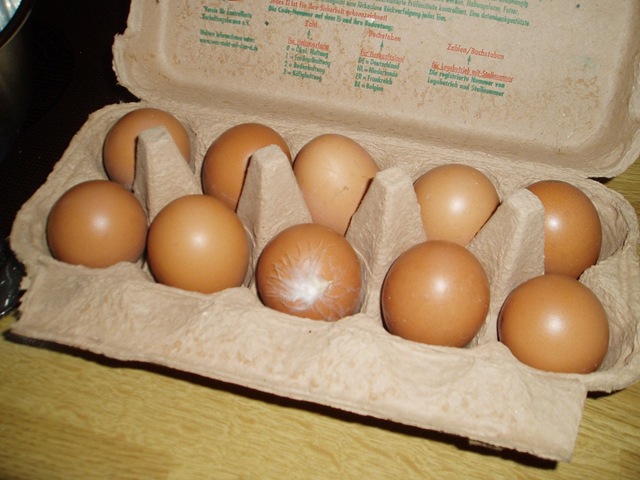 [eggs[3].jpg]