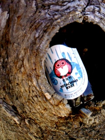 [owl[3].jpg]