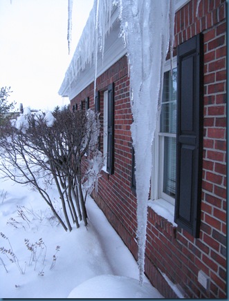 IMG_4901 IMG_4901