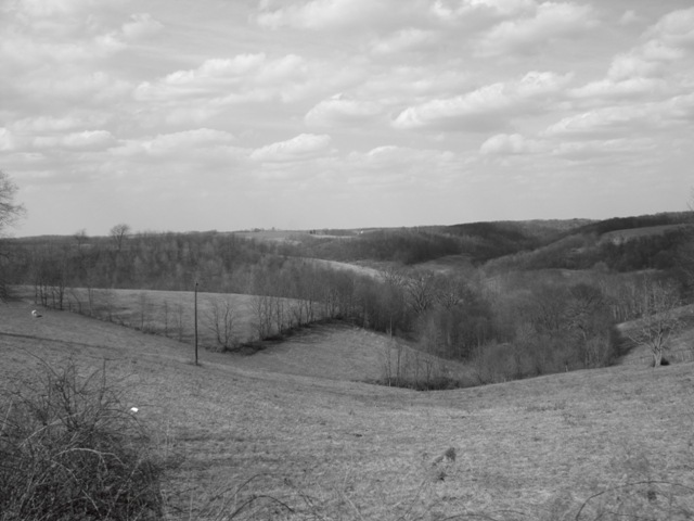[IMG_0184[3].jpg]