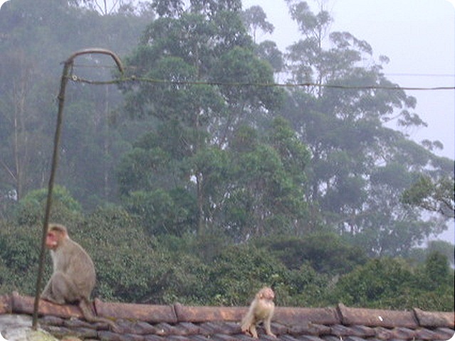 DSC02510
