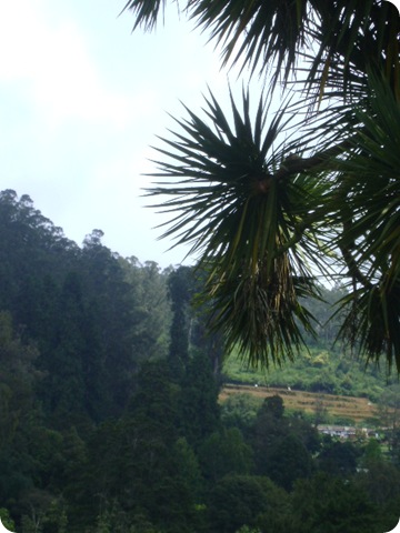 DSC02340