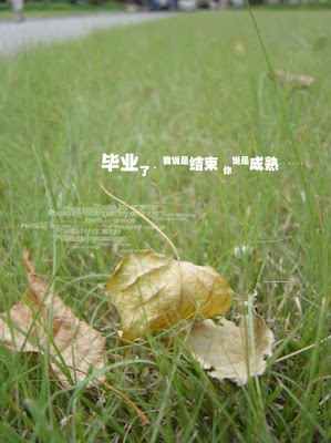 毕业了