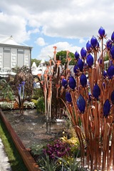Chelsea 2010 441