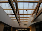 Dummen Office the office