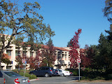 100_2778.jpg