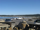 IMG_1107.JPG