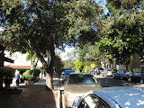 IMG_1141.JPG