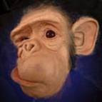 monkey.jpeg
