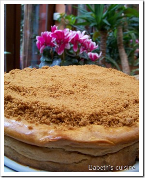 cheese cake speculoos