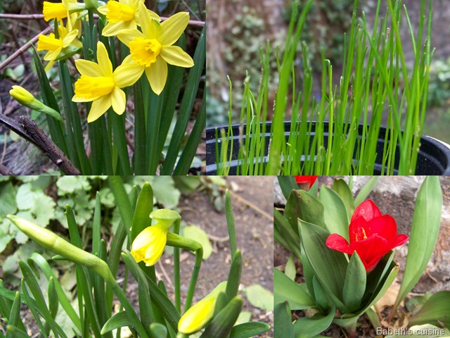 [1er jour du printemps[7].jpg]
