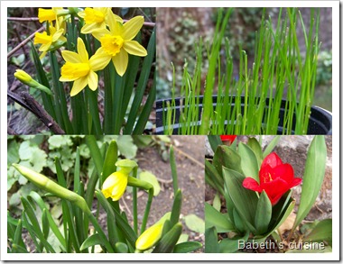 1er jour du printemps