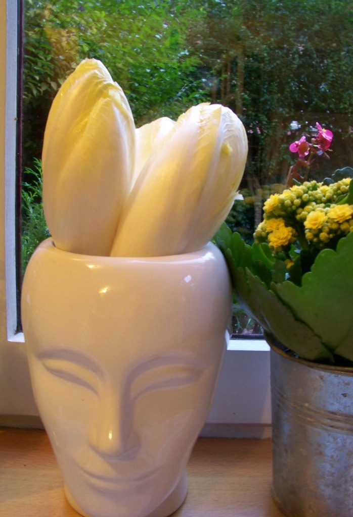[bouquet d'endives[4].jpg]