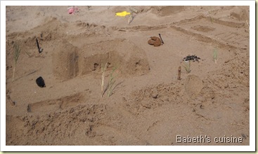 chateau de sable2