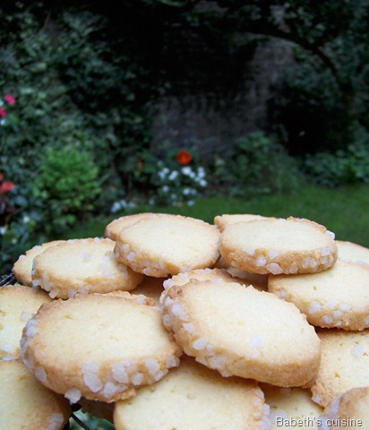 [sablès au sucre perlé[7].jpg]
