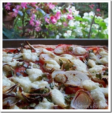 tarte tomates oignons mozza cuite tarte tomates oignons mozza cuite