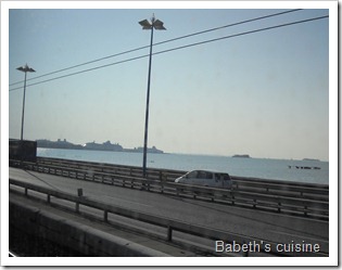 DSCN0031 DSCN0031