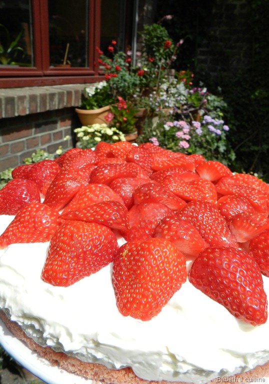 [cheese cake fraises chocolat blanc entier[7].jpg]