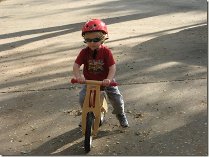 IMG_6515 IMG_6515