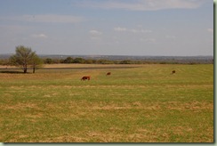 DSC_2932 DSC_2932