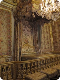 IMG_0501 IMG_0501