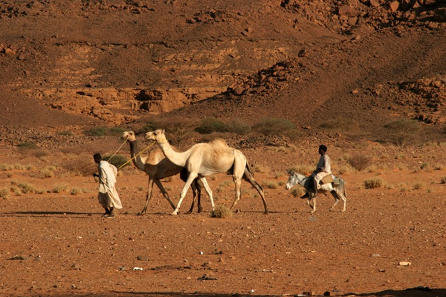 [Cap_Sudan_0029.jpg]
