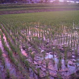DSCF2871.JPG