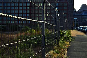 DSC_0566.jpg