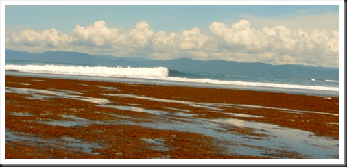 Nunga Doros beach (65)