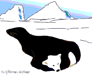 [optical-illusions-seal-bear[5].gif]