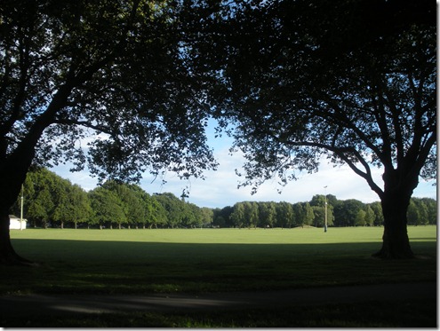 Hagley Park (3)