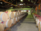 Cloudy Bay Vineyard
