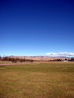 Villa Maria Vineyard