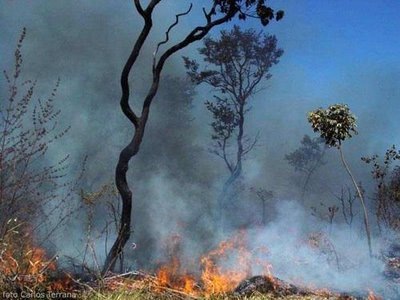 [sebastiao_incendio[3].jpg]