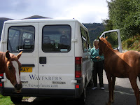 Curious locals.