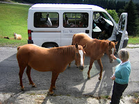 Friendly locals.