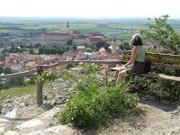 CZR04_L_CA_00380.JPG