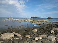 Edge of Giant\'s Causeway