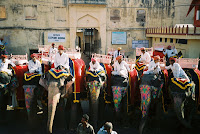 Elephants going up to Amber Fort, Jaipur