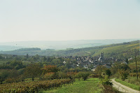 Burgundy country.