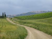 On the trail.