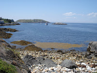 Wonderful untamed coastline