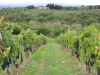 Chianti