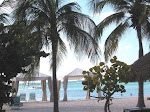 ph95960340.jpg