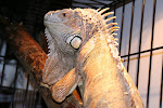 IMG_1674.JPG