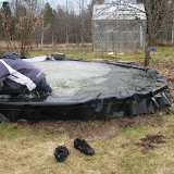 IMG_9952.JPG