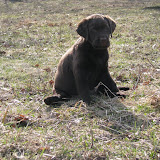 IMG_0204.JPG