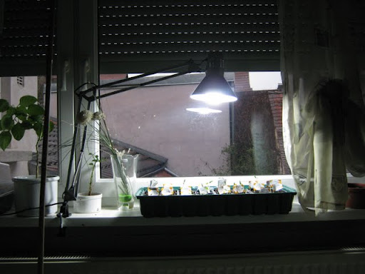 IMG_0758.JPG