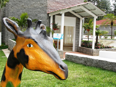 Jirafa